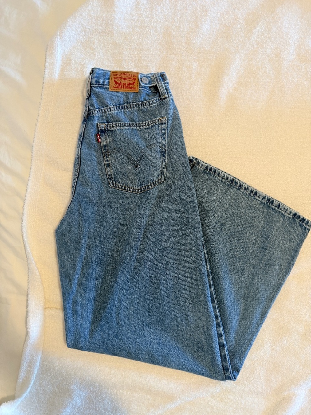 Levi's Cinch Baggy